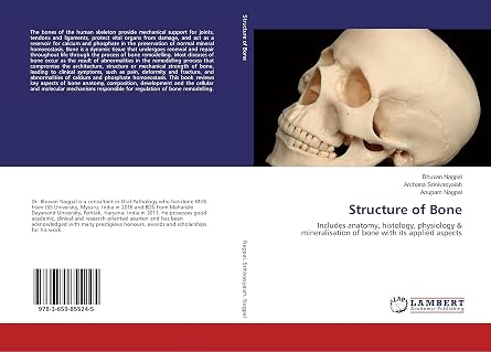 Cover of Structure of Bone: Includes Anatomy, Histology, Physiology & Mineralisation of Bone with Its Applied Aspects